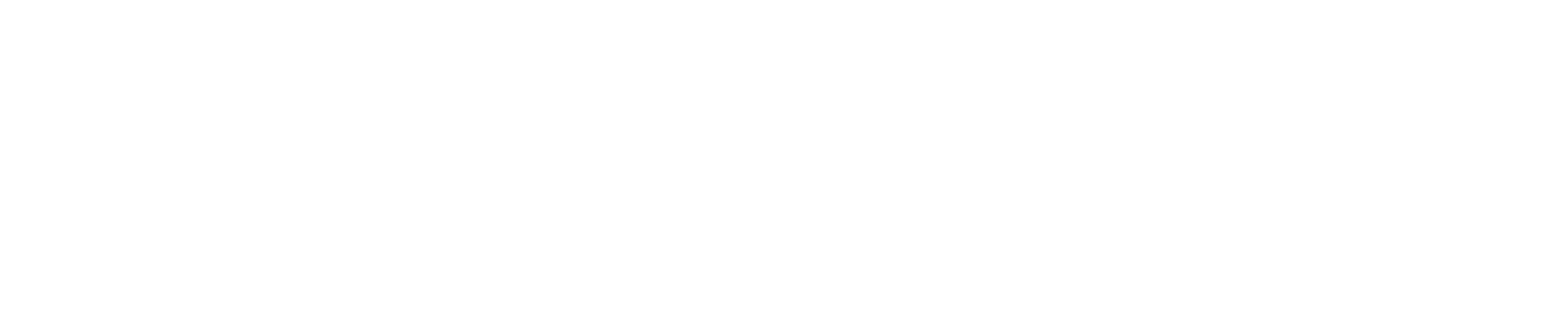 ENERGY TEAM